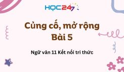 Củng cố, mở rộng Bài 5