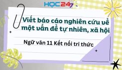 Viết báo cáo nghiên cứu về một vấn đề tự nhiên, xã hội