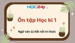 Ôn tập Học kì 1