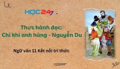 Thực hành đọc: Chí khí anh hùng - Nguyễn Du