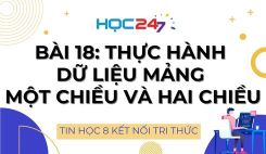 Bài 18: Thực hành dữ liệu mảng một chiều và hai chiều