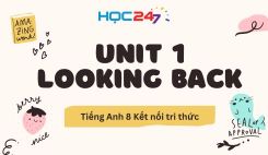 Unit 1 - Looking Back
