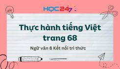 Thực hành tiếng Việt trang 68