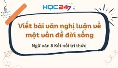 Viết bài văn nghị luận về một vấn đề đời sống