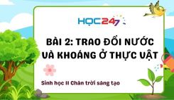 Bài 2: Trao đổi nước và khoáng ở thực vật