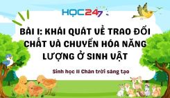 Bài 1: Khái quát về trao đổi chất và chuyển hóa năng lượng ở sinh vật
