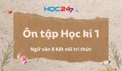Ôn tập Học kì 1