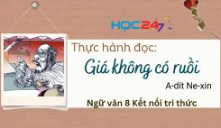 Thực hành đọc: Giá không có ruồi - A-dít Ne-xin