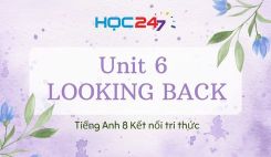 Unit 6 – Looking back