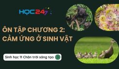 Ôn tập chương 2: Cảm ứng ở sinh vật