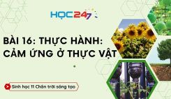 Bài 16: Thực hành: Cảm ứng ở thực vật