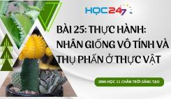 Bài 25: TH: Nhân giống vô tính và thụ phấn ở thực vật