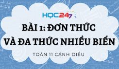 Bài 1: Đơn thức và đa thức nhiều biến