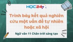 Trình bày kết quả nghiên cứu một vấn đề tự nhiên hoặc xã hội