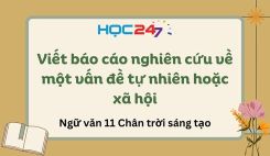 Soạn bài Viết báo cáo nghiên cứu về một vấn đề tự nhiên hoặc xã hội - Ngữ văn 11 Tập 1 Chân Trời Sáng Tạo