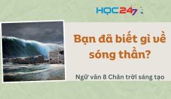 Soạn bài Bạn đã biết gì về sóng thần? - Ngữ văn 8 Tập 1 Chân Trời Sáng Tạo
