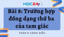 Bài 8: Trường hợp đồng dạng thứ ba của tam giác