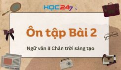Ôn tập Bài 2