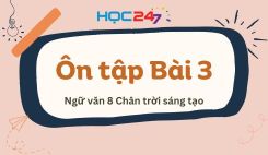 Ôn tập Bài 3