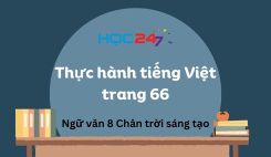 Soạn bài Thực hành tiếng Việt trang 66 - Ngữ văn 8 Tập 1 Chân Trời Sáng Tạo