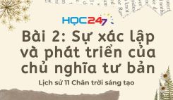Bài 2: Sự xác lập và phát triển của chủ nghĩa tư bản