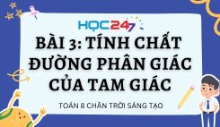 Bài 3: Tính chất đường phân giác của tam giác