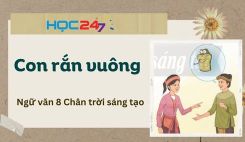 Soạn bài Con rắn vuông - Ngữ văn 8 Tập 1 Chân Trời Sáng Tạo
