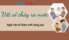 Soạn bài Vắt cổ chày ra nước - Ngữ văn 8 Tập 1 Chân Trời Sáng Tạo