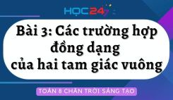 Bài 3: Các trường hợp đồng dạng của hai tam giác vuông