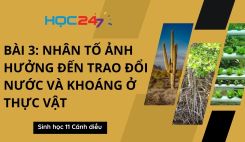 Bài 3: Các nhân tố ảnh hưởng đến trao đổi nước và khoáng ở thực vật