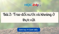 Bài 2: Trao đổi nước và khoáng ở thực vật