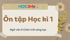Ôn tập Học kì 1