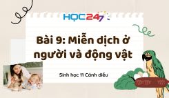 Bài 9: Miễn dịch ở người và động vật