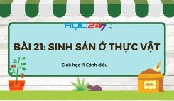Bài 21: Sinh sản ở thực vật