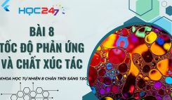 Bài 8: Tốc độ phản ứng và chất xúc tác
