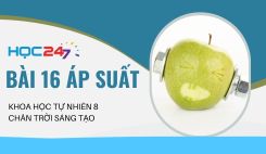 Bài 16: Áp suất