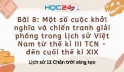 Bài 8: Một số cuộc khởi nghĩa và chiến tranh giải phóng trong lịch sử Việt Nam từ thế kỉ III TCN - đến cuối thế kỉ XIX