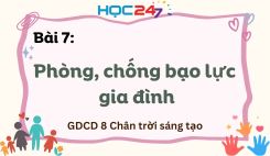 Bài 7: Phòng, chống bạo lực gia đình