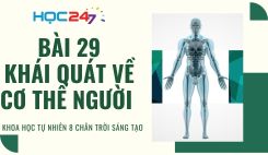 Bài 29: Khái quát về cơ thể người