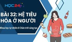 Bài 32: Hệ tiêu hóa ở người