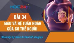 Bài 34: Máu và hệ tuần hoàn của cơ thể người