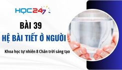 Bài 39: Hệ bài tiết ở người