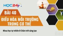 Bài 40: Điều hòa môi trường trong cơ thể