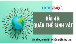 Bài 46: Quần thể sinh vật