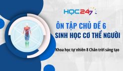Ôn tập chủ đề 6: Sinh học cơ thể người