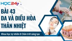 Bài 43: Da và điều hòa thân nhiệt