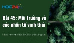 Bài 45: Môi trường và các nhân tố sinh thái