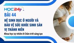 Bài 44: Hệ sinh dục ở người và bảo vệ sức khỏe sinh sản vị thành niên