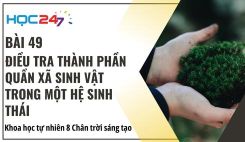 Bài 49: Thực hành: Điều tra thành phần quần xã sinh vật trong một hệ sinh thái