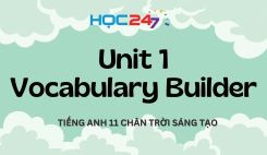 Unit 1 - Vocabulary Builder